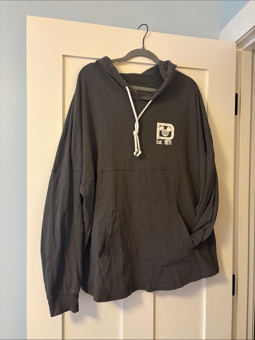 Disneyworld Spirt Jersey with hood - Picture 1 of 4